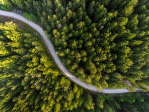 Report: The tools helping enterprises GET green