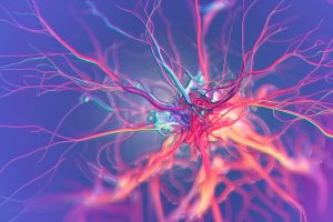 Affordable brainwave reader offers hope for Motor Neurone Disease patients