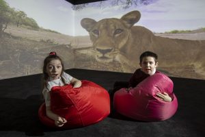 BT brings the holodeck to life with Immersive Spaces