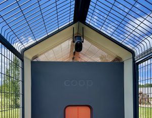Smart home for chickens set to challenge “big poultry” in US