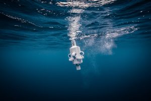 How a robot diver is monitoring coral loss in Australia’s southern reefs