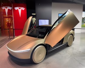 Tesla’s robotaxi speedbump and Meta’s AI book win